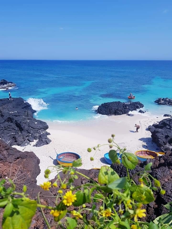 Tour Lý Sơn, tour Măng Đen, tour Tây Nguyên & Miền Trung, tour trong nước Chất lượng & Uy tín hàng đầu