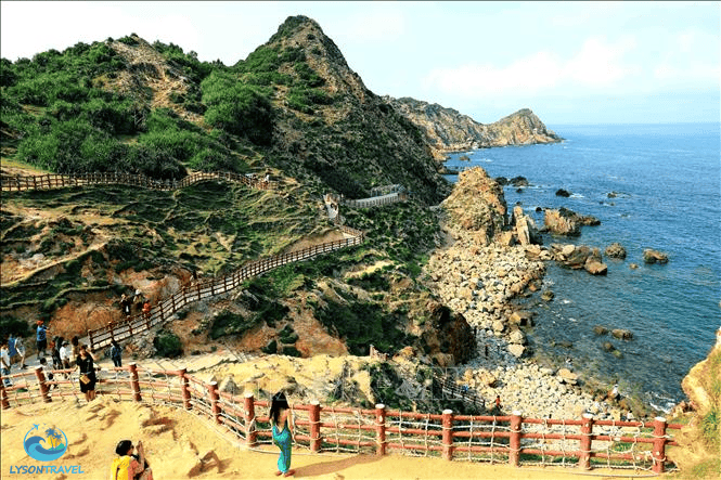 Tour Lý Sơn, tour Măng Đen, tour Tây Nguyên & Miền Trung, tour trong nước Chất lượng & Uy tín hàng đầu