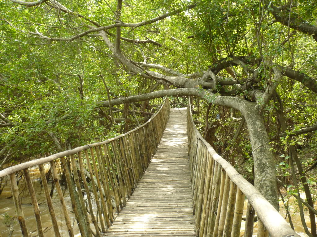Tour Lý Sơn, tour Măng Đen, tour Tây Nguyên & Miền Trung, tour trong nước Chất lượng & Uy tín hàng đầu