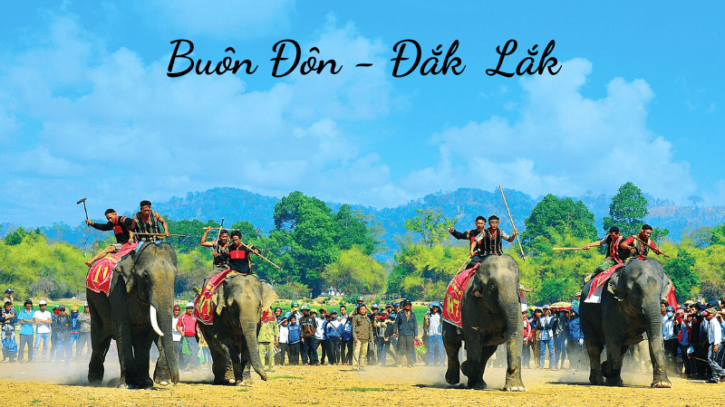 Tour Lý Sơn, tour Măng Đen, tour Tây Nguyên & Miền Trung, tour trong nước Chất lượng & Uy tín hàng đầu