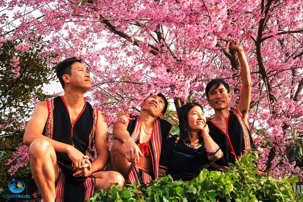 Tour Lý Sơn, tour Măng Đen, tour Tây Nguyên & Miền Trung, tour trong nước Chất lượng & Uy tín hàng đầu