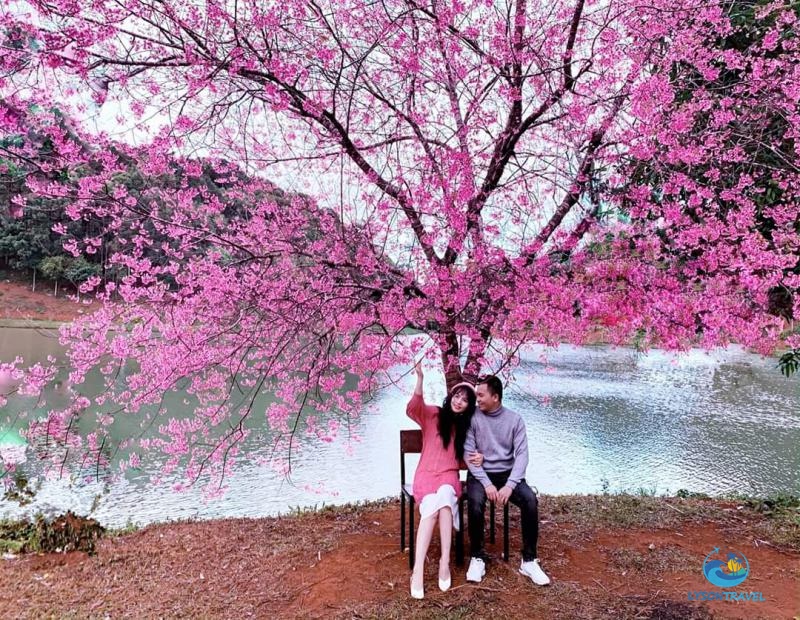 Tour Lý Sơn, tour Măng Đen, tour Tây Nguyên & Miền Trung, tour trong nước Chất lượng & Uy tín hàng đầu