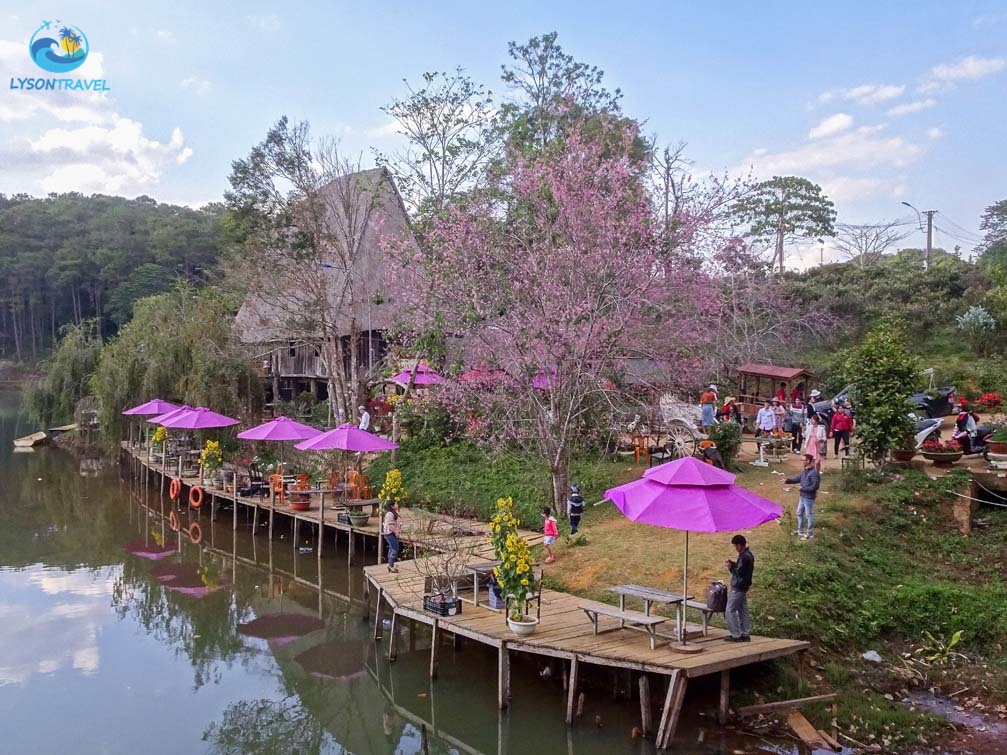 Tour Lý Sơn, tour Măng Đen, tour Tây Nguyên & Miền Trung, tour trong nước Chất lượng & Uy tín hàng đầu