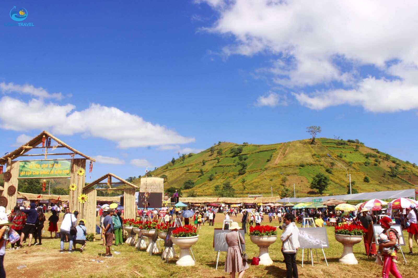 Tour Lý Sơn, tour Măng Đen, tour Tây Nguyên & Miền Trung, tour trong nước Chất lượng & Uy tín hàng đầu