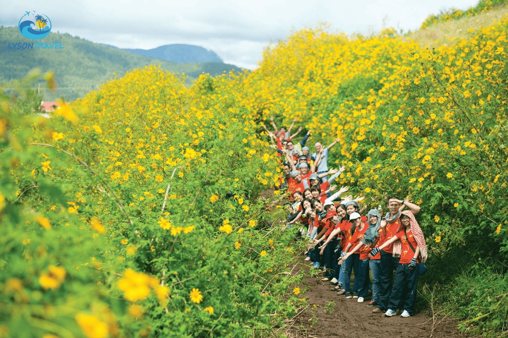 Tour Lý Sơn, tour Măng Đen, tour Tây Nguyên & Miền Trung, tour trong nước Chất lượng & Uy tín hàng đầu