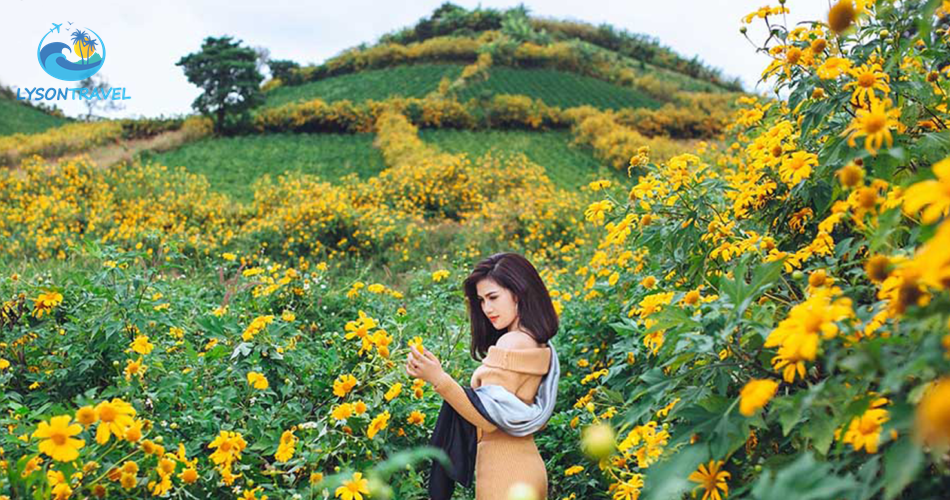 Tour Lý Sơn, tour Măng Đen, tour Tây Nguyên & Miền Trung, tour trong nước Chất lượng & Uy tín hàng đầu