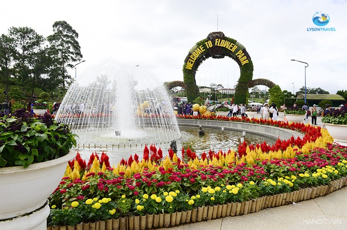 Tour Lý Sơn, tour Măng Đen, tour Tây Nguyên & Miền Trung, tour trong nước Chất lượng & Uy tín hàng đầu
