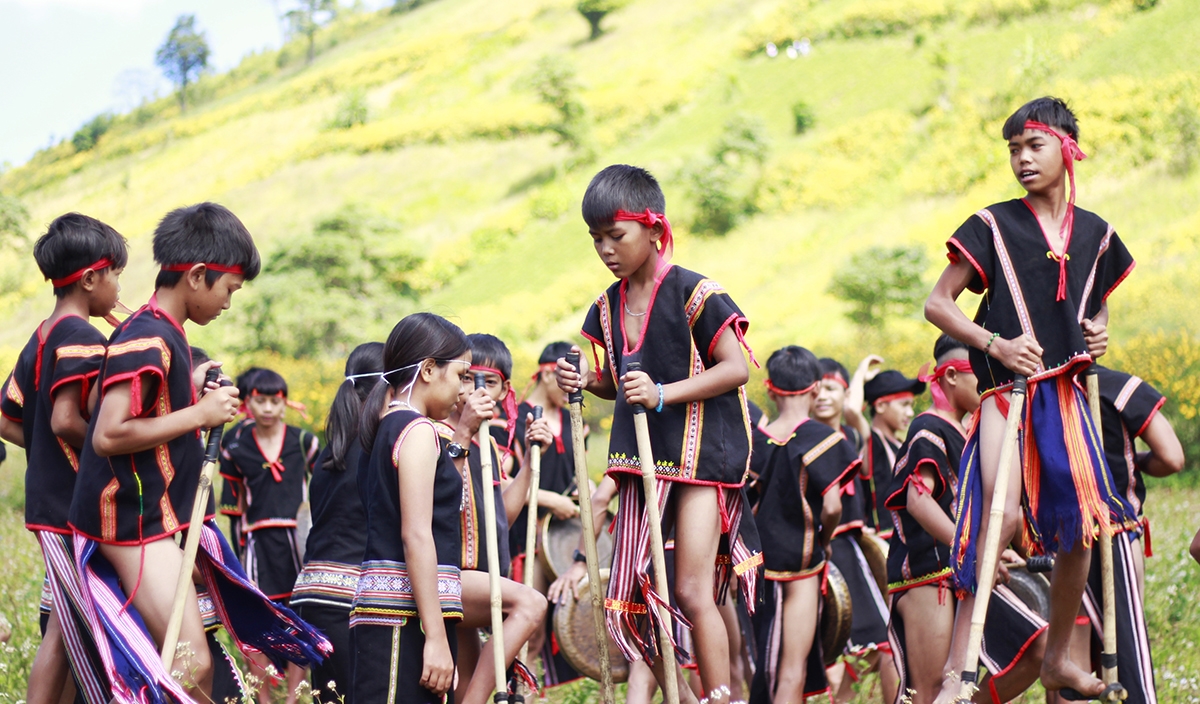 Hoạt động thể thao tại tuần lễ hoa dã quỳ